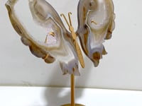 Geode Druzy Agate Butterfly Wing Carving With Stand