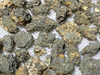 45 Pieces Raw Pyrite Stones (Sea Freight Only)