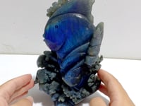 Unique Labradorite Sea Animal Carving (Defect)