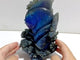 Unique Labradorite Sea Animal Carving (Defect)