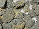37 Pieces Raw Pyrite Stones (Sea Freight Only)