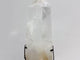 Large Clear Quartz Point Raw Bottom With Stand #B3