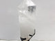 Large Clear Quartz Raw Bottom Point With Stand