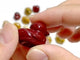 Mini Mookaite Duck Carving Wholesale
