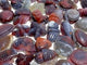 49 Pieces Africa Red Agate Sea Animals Carving