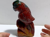 Large Ocean Jasper Parrot Carving
