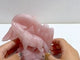 2 Pieces Rose Quartz Wolves Carving