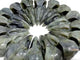 16 Pieces Large Labradorite Cow Skull Carving Closeout