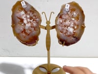 Geode Pink Amethyst Slab Butterfly Wing Carving With Stand
