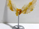 Golden Hematoid Quartz Heart Wing Carving With Stand Fire Quartz