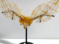 Golden Hematoid Quartz Heart Wing Carving With Stand Fire Quartz