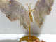 Moonstone Butterfly Wing Carving With Stand