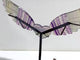 Unique Symmetrical Fluorite Heart Wing Carving With Stand