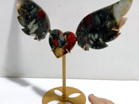 Unique Africa Blood Stone Heart Wing Carving With Stand