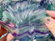 Fluorite Shell Beautiful Shallow Bowl Wholesale