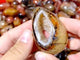 Geode Druzy Black Stripe Carnelian Wholesale