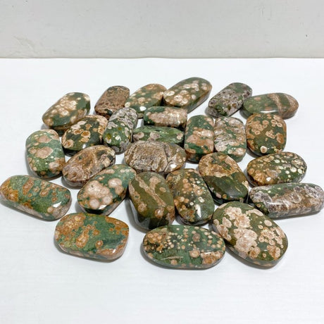 Rainforest Jasper Palm Stone Wholesale -Wholesale Crystals