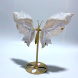 Sakura Flower Agate Butterfly Wing Carving With Stand - Wholesale Crystals