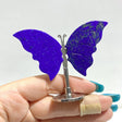 Small Lapis Lazuli Butterfly Carving With Stand Wholesale - Wholesale Crystals
