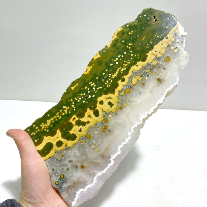 Unique 8th Vein Ocean Jasper Slab With Stand 12 - Wholesale Crystals