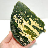 Unique 8th Vein Ocean Jasper Slab With Stand 5 - Wholesale Crystals