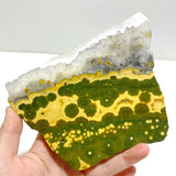 Unique 8th Vein Ocean Jasper Slab With Stand 9 - Wholesale Crystals