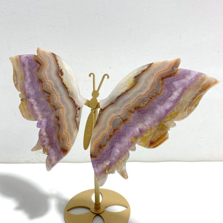 Unique Amethyst Mixed Agate Butterfly Wing Carving With Stand - Wholesale Crystals