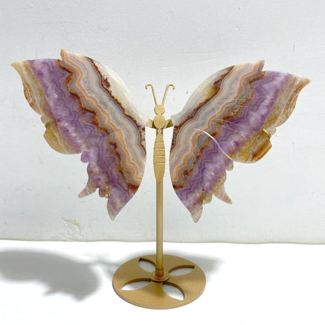 Unique Amethyst Mixed Agate Butterfly Wing Carving With Stand - Wholesale Crystals
