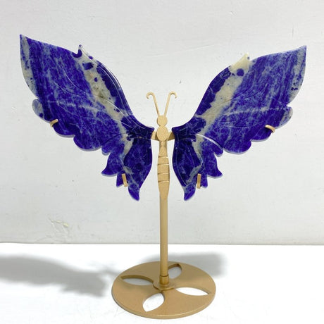 Unique Blue Sodalite Butterfly Wing Carving With Stand - Wholesale Crystals