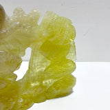 Unique Citrine Sea Animals Carving - Wholesale Crystals