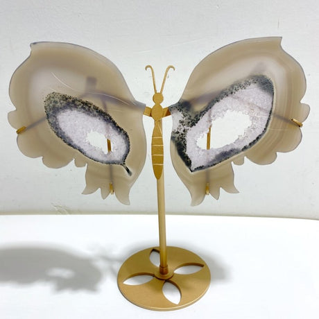 Unique Geode Druzy Agate Butterfly Wing Carving With Stand -Wholesale Crystals