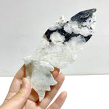 Unique India Moonstone Butterfly Wing Carving With Stand - Wholesale Crystals