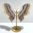 Unique Stripe Agate Mixed Amethyst Butterfly Wing Carving With Stand - Wholesale Crystals
