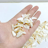 White Mother of Pearl Mop Shell Gravel Chips Wholesale -Wholesale Crystals