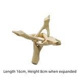 Wooden Crystal Stands 14 (Incense) - Wholesale Crystals