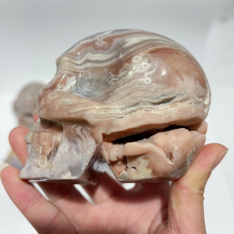 10 Pieces Large Agate Skull Carving - Wholesale Crystals