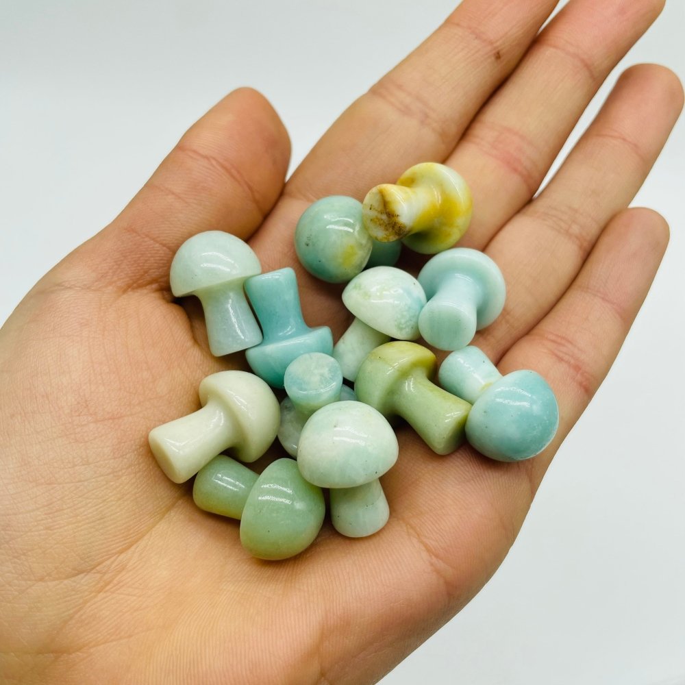 10 Types Mini Crystal Mushroom Wholesale -Wholesale Crystals