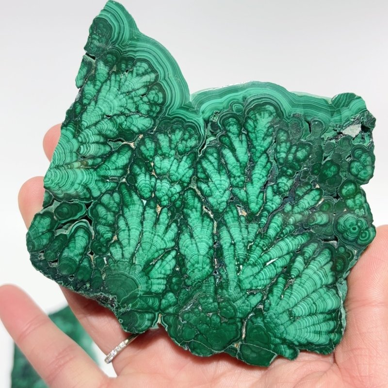12 Pieces High Quality Beautiful Malachite Slab -Wholesale Crystals