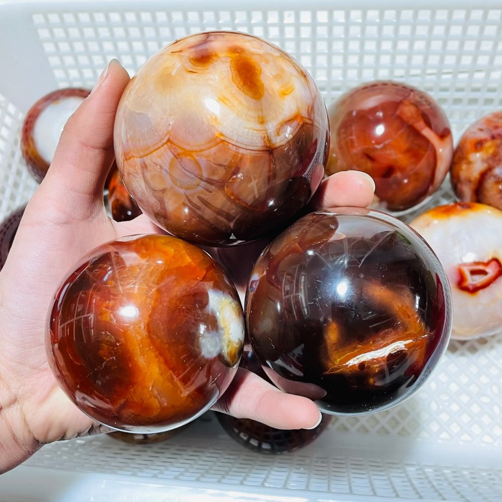 13 Pieces Large Carnelian Stone Spheres -Wholesale Crystals