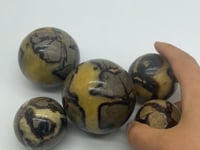 Septarian crystal ball -Wholesale Crystals