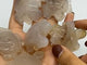 Agate Sea Turtle Carving Wholesale -Wholesale Crystals