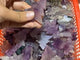 Purple Fluorite Pine Tree Christmas Tree Wholesale -Wholesale Crystals