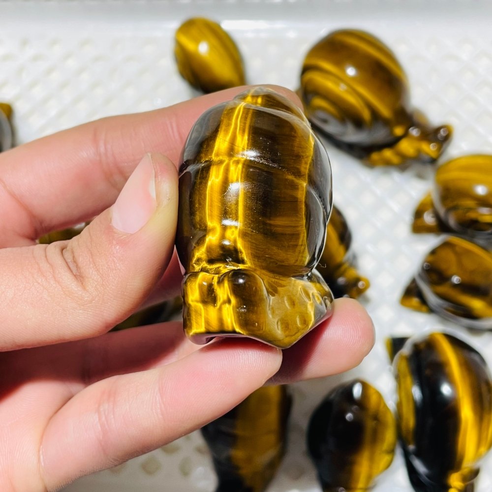 16 Pieces High Quality Tiger Eye Snails Carving -Wholesale Crystals
