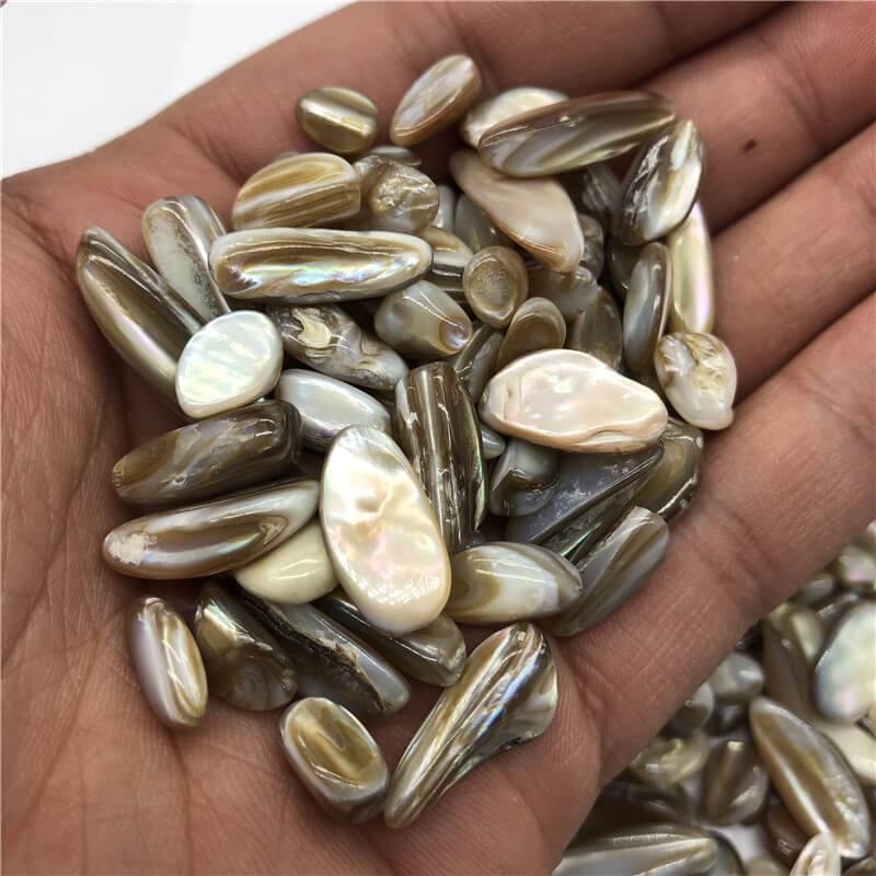 Rainbow shell conch fossil gravel stone -Wholesale Crystals