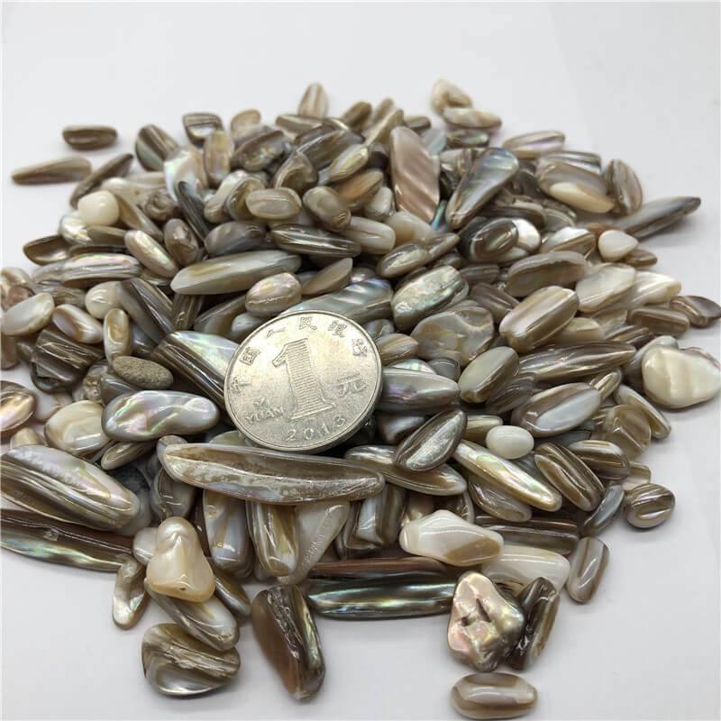 Rainbow shell conch fossil gravel stone -Wholesale Crystals