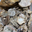 Fossil wood stone 1kg(2.2lbs) -Wholesale Crystals