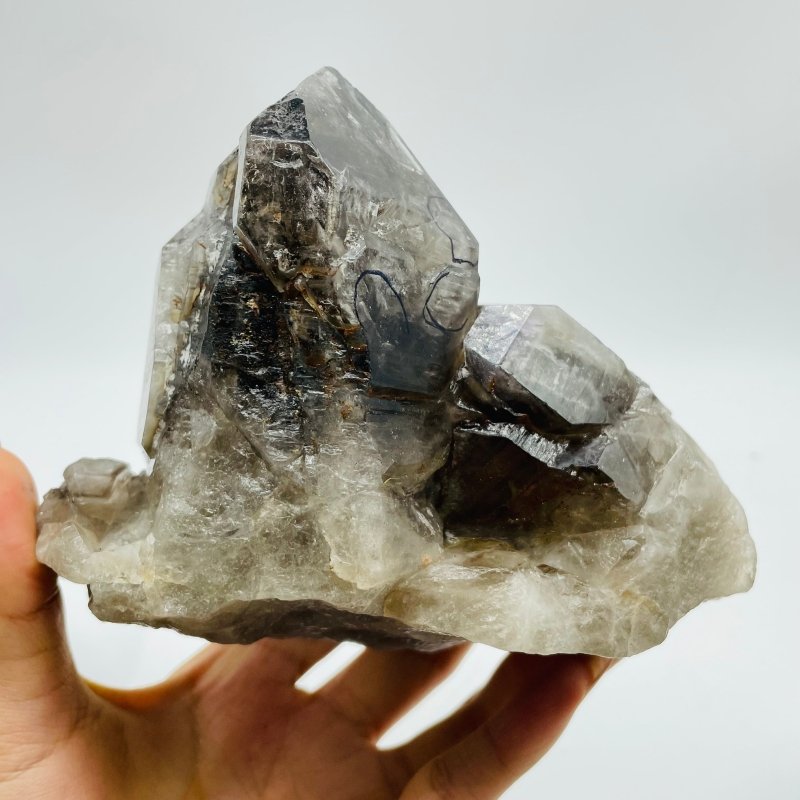 3 Pieces Enhydro Backbone Crystal Specimen Smoky Quartz Stone For Collection - Wholesale Crystals