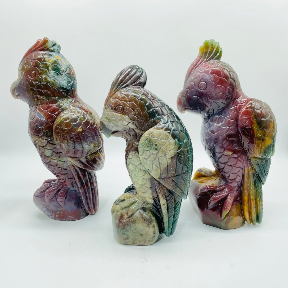 3 Pieces Large Ocean Jasper Parrot Carving -Wholesale Crystals