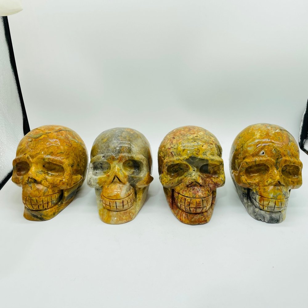 4 Pieces Crazy Agate Skull Carving -Wholesale Crystals