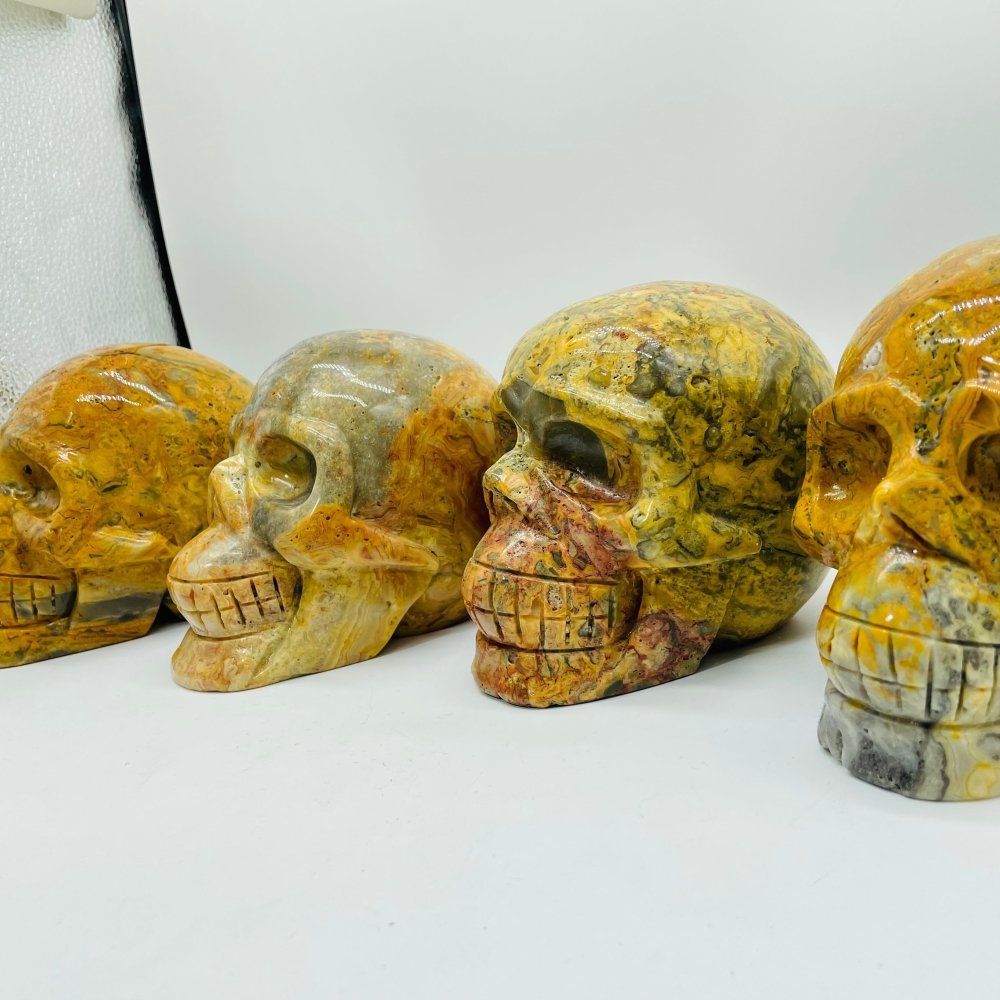 4 Pieces Crazy Agate Skull Carving -Wholesale Crystals
